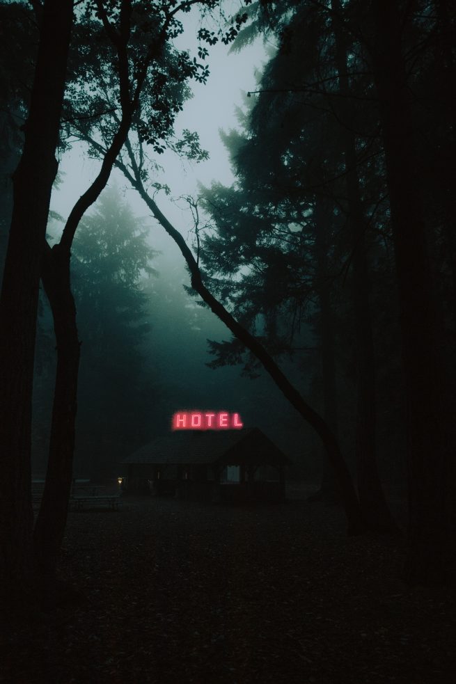 Tacoma Washington Moody Photography Point Defiance Park