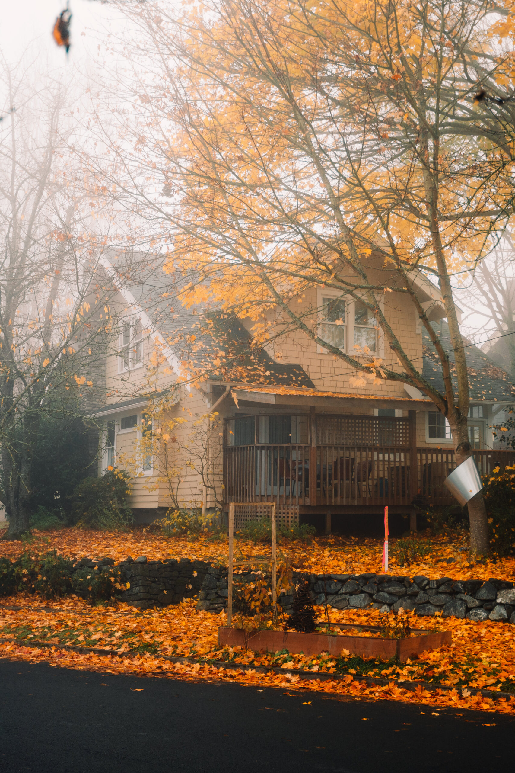 Autumn in Tacoma Real Estate Photographer